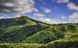Wildlife spotting at Kudremukh National Park