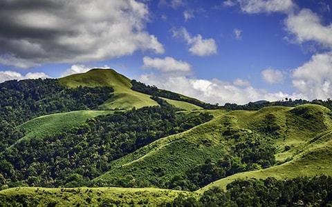 Wildlife spotting at Kudremukh National Park