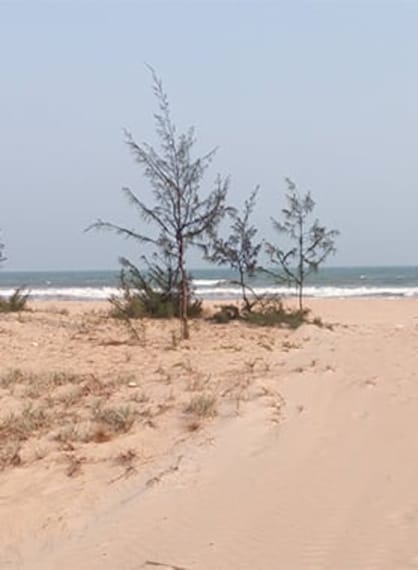 Chirala Ramapuram Beach Portrait Image