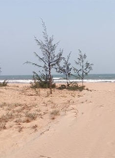 Ramapuram Beach