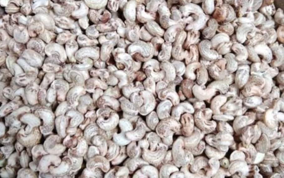 Chirala Sairamakrishna Cashews Landscape Image