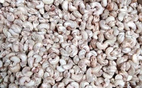 Sairamakrishna Cashews