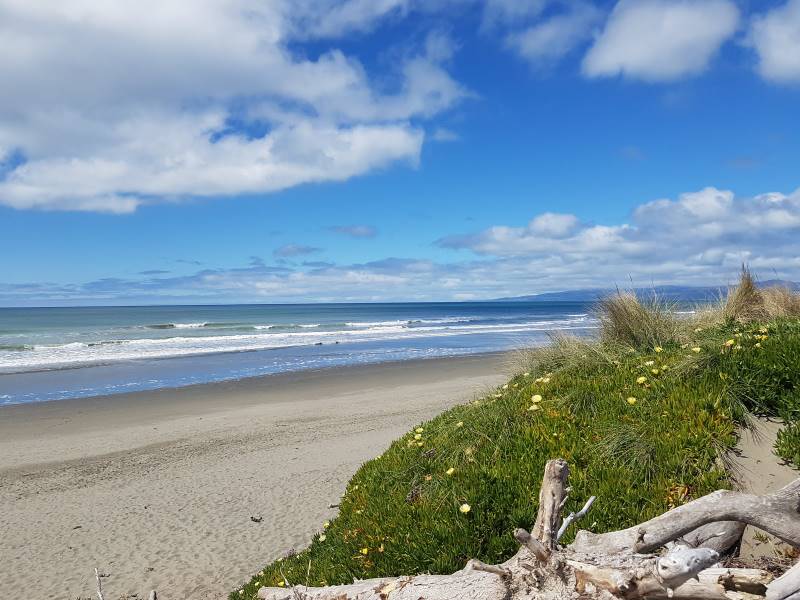 Christchurch_Bottle_Lake_Forest_Park_3