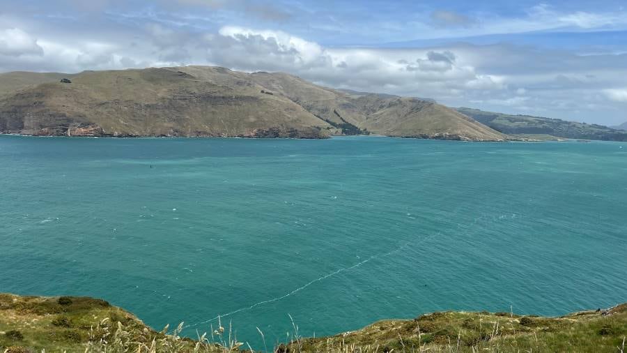 Christchurch_Godley_Head_Walkway_8
