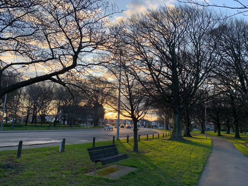 Christchurch_Hagley_Park_North_3