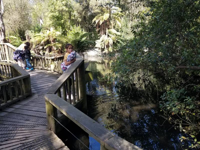 Christchurch_Willowbank_Wildlife_Reserve_2