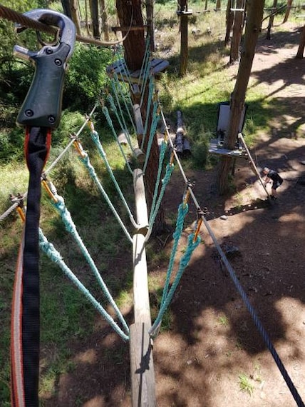 Christchurch_Adrenalin_Forest_7