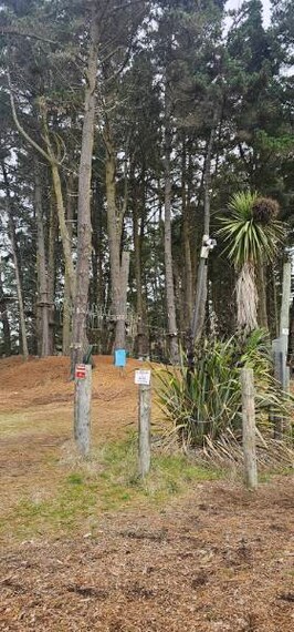 Christchurch_Adrenalin_Forest_8