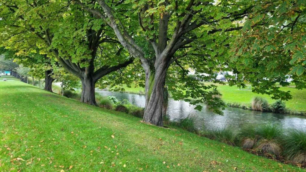 Christchurch_Avon_River_Otakaro_9