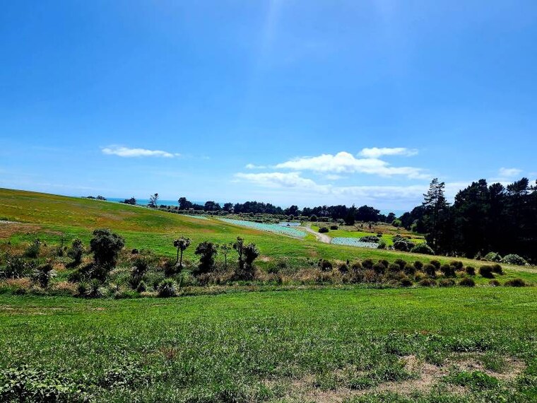 Christchurch_Bottle_Lake_Forest_Park_5