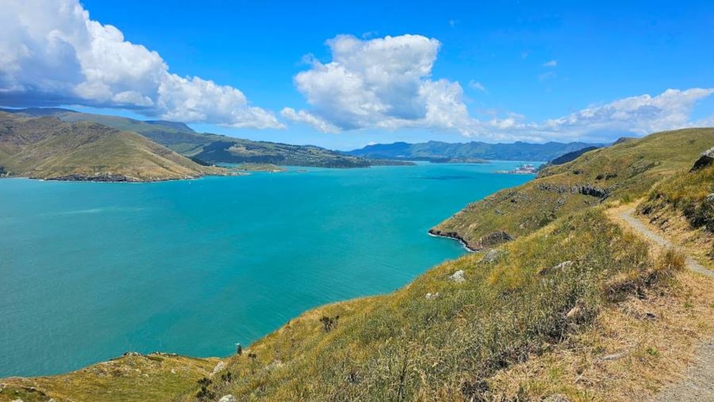 Christchurch_Godley_Head_Walkway_3