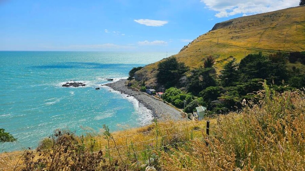 Christchurch_Godley_Head_Walkway_9