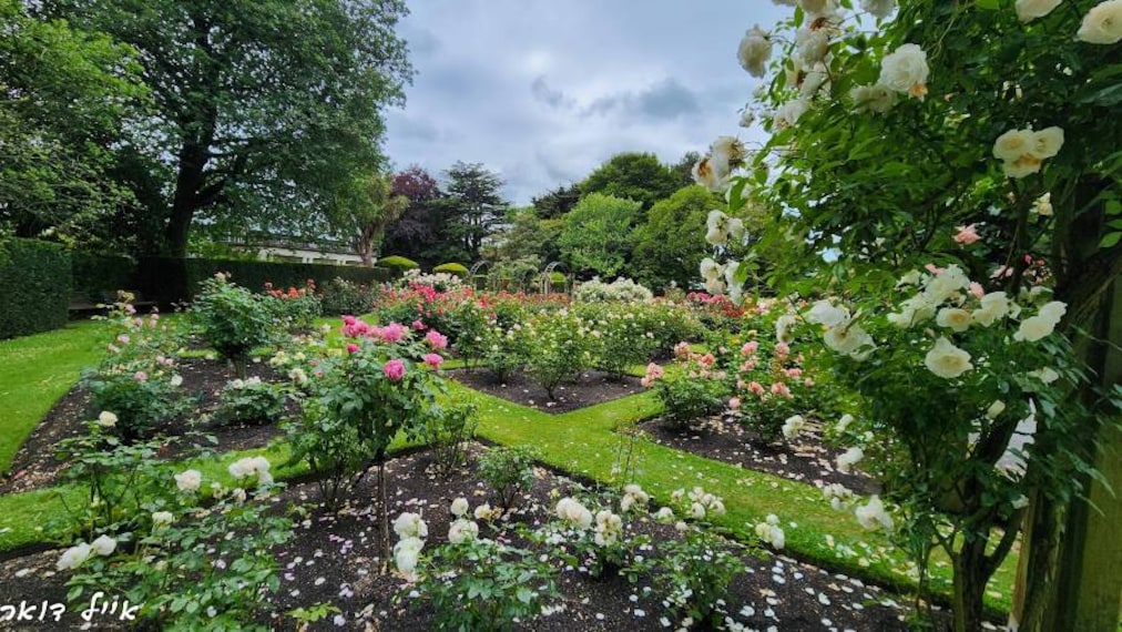 Christchurch_Hagley_Park_North_10