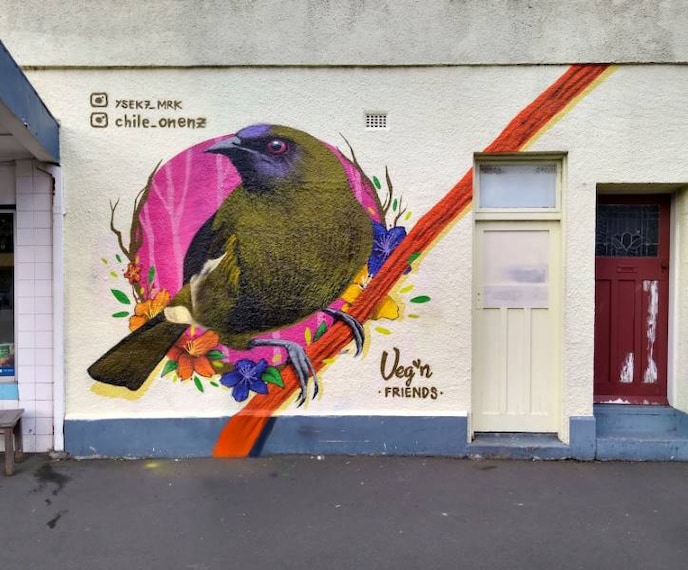 Christchurch_Veg_n_Friends_1