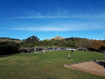 Victoria Park Christchurch