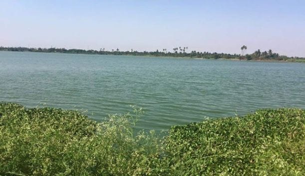 coimbatore_singanallur_lake