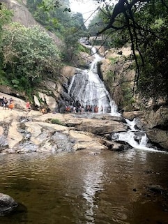 Monkey Falls