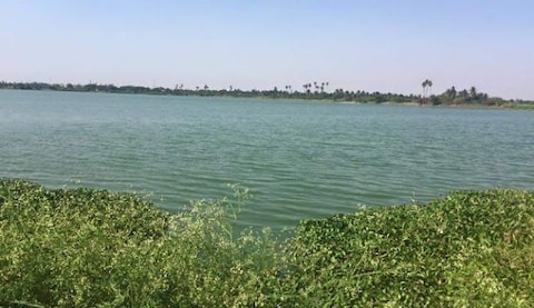Singanallur Lake