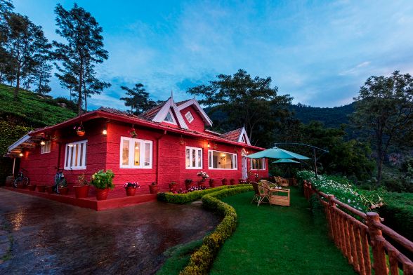 coonoor_tea_nest