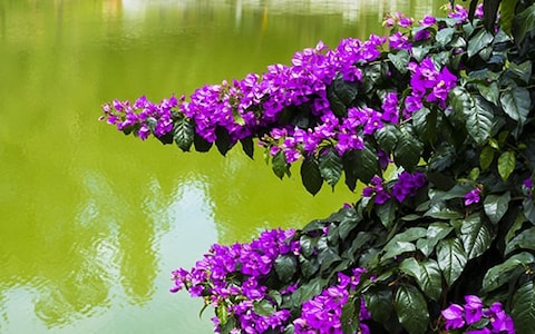 Boating on Wellington Lake