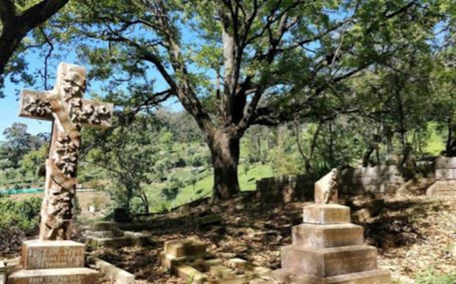 Coonoor Law S Falls Landscape Image