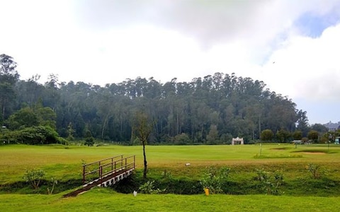 Golfing at Wellington Golf Course