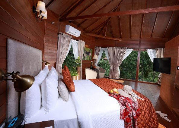 coorg_the_ibnii_4