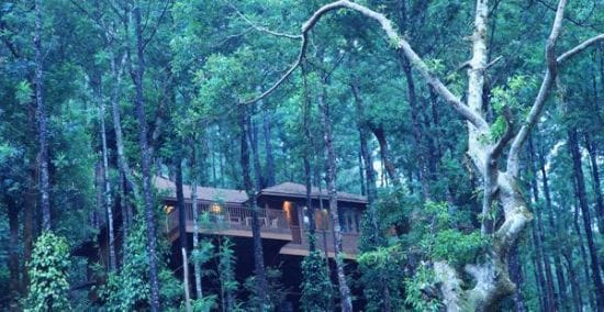 coorg_the_tamara_1