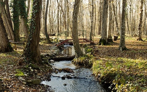 Picnicking on Cauveri Nisargadhama