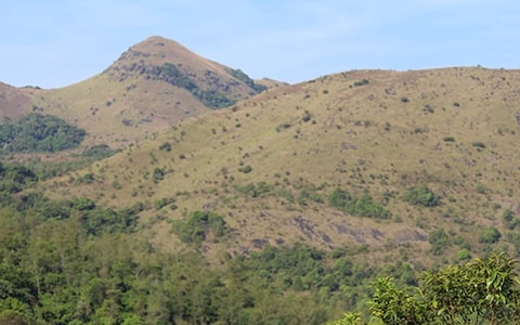 Trekking in Thadiyandamol
