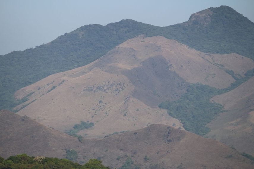 coorg_Thadiyandamol_1