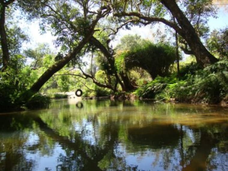 coorg_amanvana_spa_resort_3