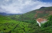 Coorg Landscape Image