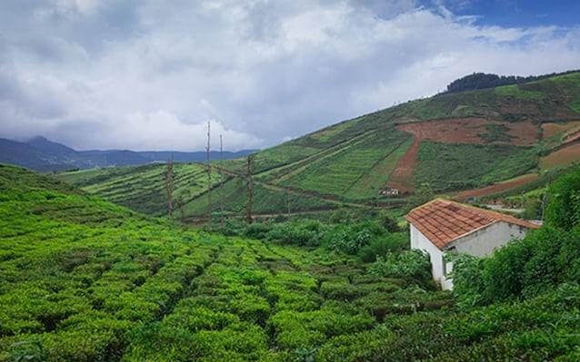 Coorg Landscape Image