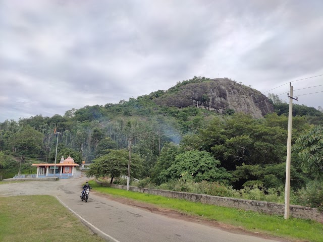 Honnamana_Kere_Lake_2