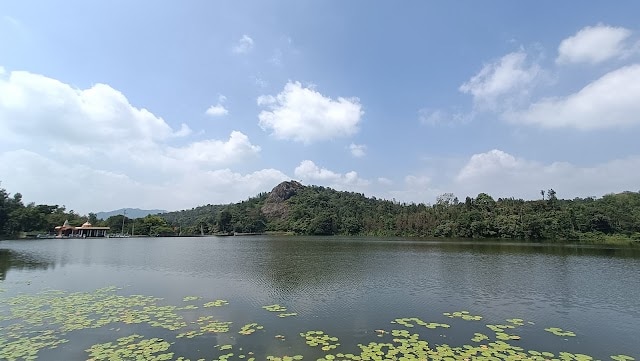 Honnamana_Kere_Lake_3