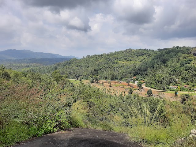 Honnamana_Kere_Lake_4