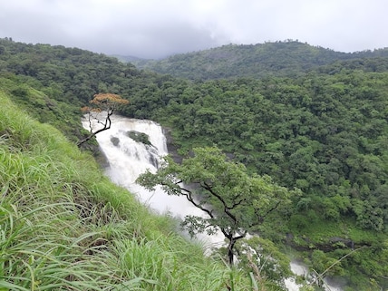 Mallalli Falls