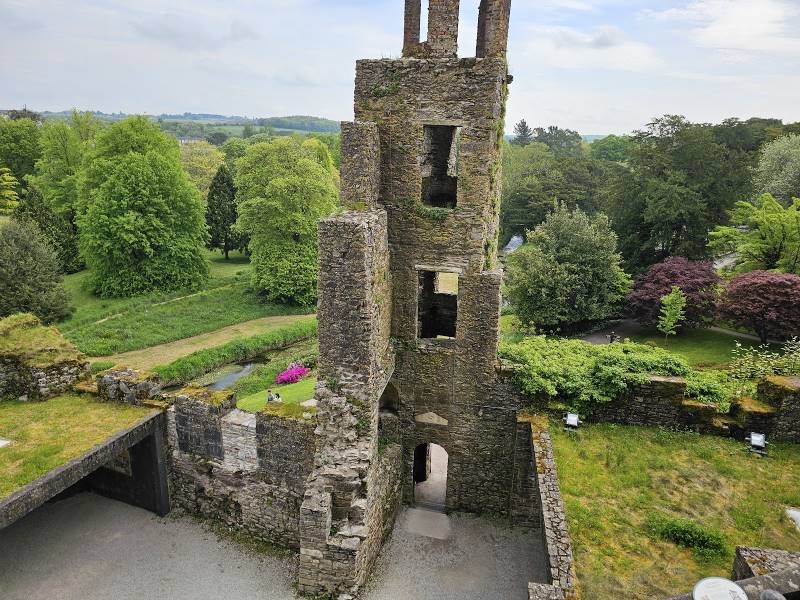 Cork_Blarney_Castle_&_Gardens_6