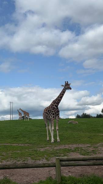 Cork_Fota_Island_1