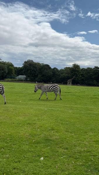 Cork_Fota_Island_6