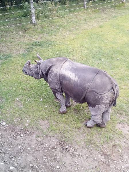 Cork_Fota_Island_7