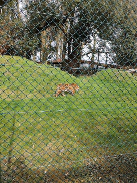 Cork_Fota_Island_9