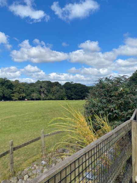 Cork_Fota_Wildlife_Park_10