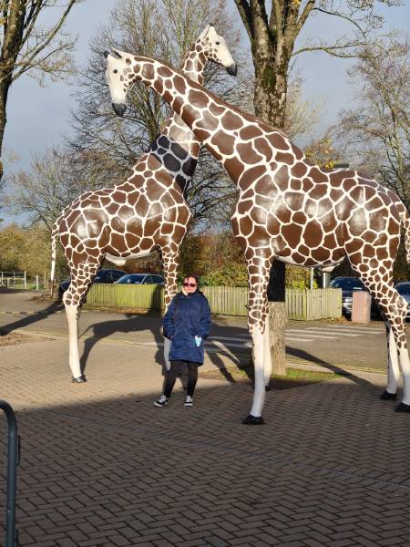 Cork_Fota_Wildlife_Park_7