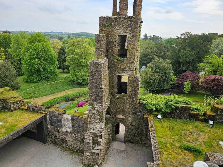 Cork_Blarney_Castle_&_Gardens_6