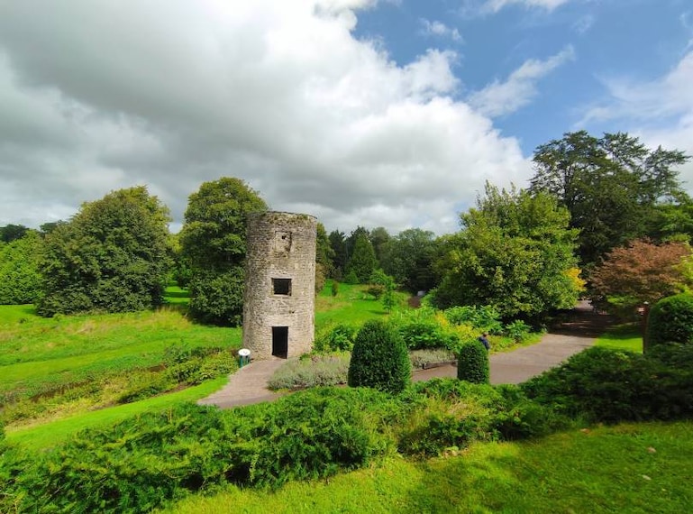 Cork_Blarney_Stone_2