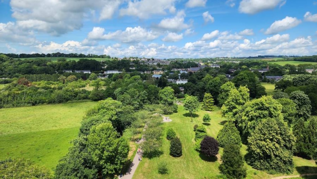 Cork_Blarney_Stone_5