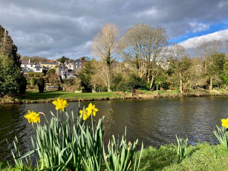 Cork_Fitzgerald_Park_5