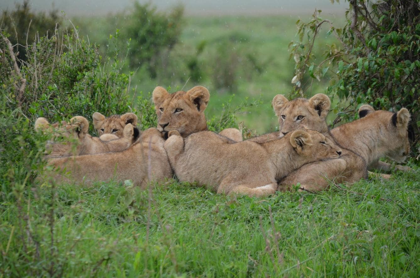 Kenya_destination_landscape_image_2